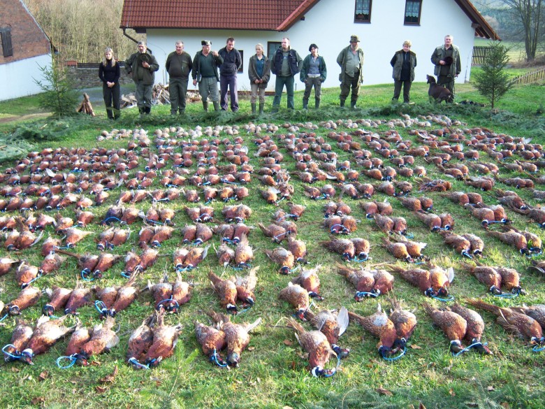 pheasant Hunting in the Czech Republic