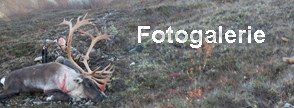 Fotogalerie2