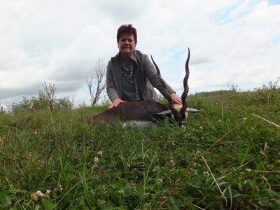 Jaegerin Blackbuck Argentinien