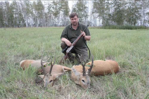 sibirian roe deer2 Hunting in Russia - Kurgan