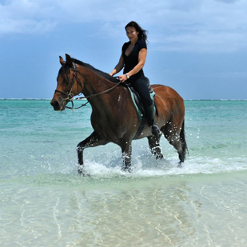 Pferd in Mauritius