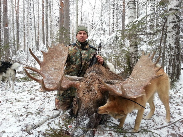 Jagen auf Elch in Russland