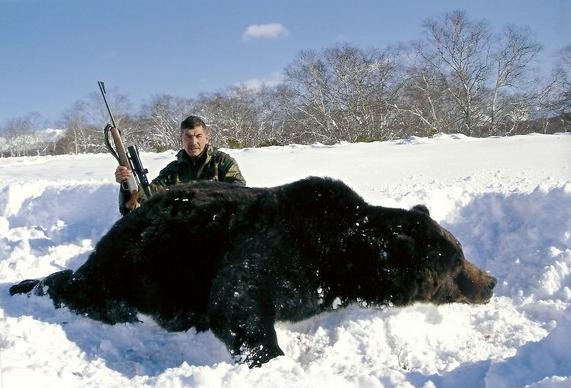 bear Hunting in Russia - Kamchatka