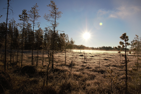 Landschaft