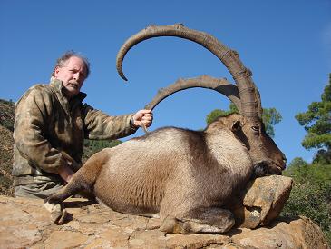 Bezoar ibex Hunting in Turkey