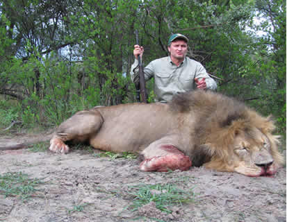 Jagd auf Löwe