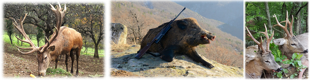 Gamespecies Mazedonia Gamespecies Mazedonia